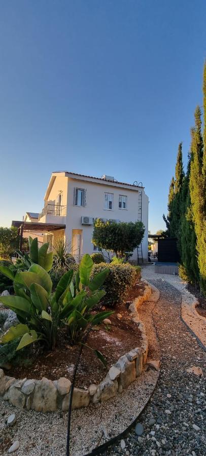 Fab Sea And Mountain View Villa, Walking Distance From The Sandy Beach Yialia Exteriör bild